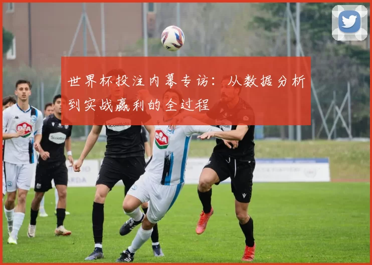 世界杯投注内幕专访：从数据分析到实战赢利的全过程