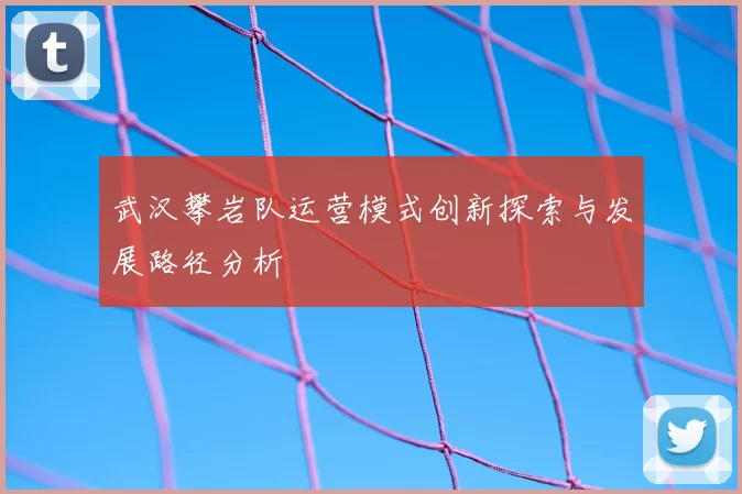 武汉攀岩队运营模式创新探索与发展路径分析