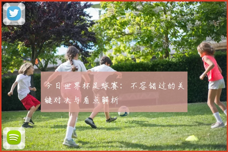 今日世界杯足球赛:不容错过的关键对决与看点解析