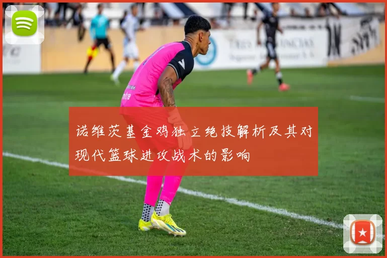 诺维茨基金鸡独立绝技解析及其对现代篮球进攻战术的影响