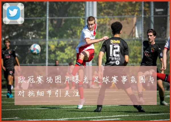 欧冠赛场图片曝光 足球赛事氛围与对抗细节引关注