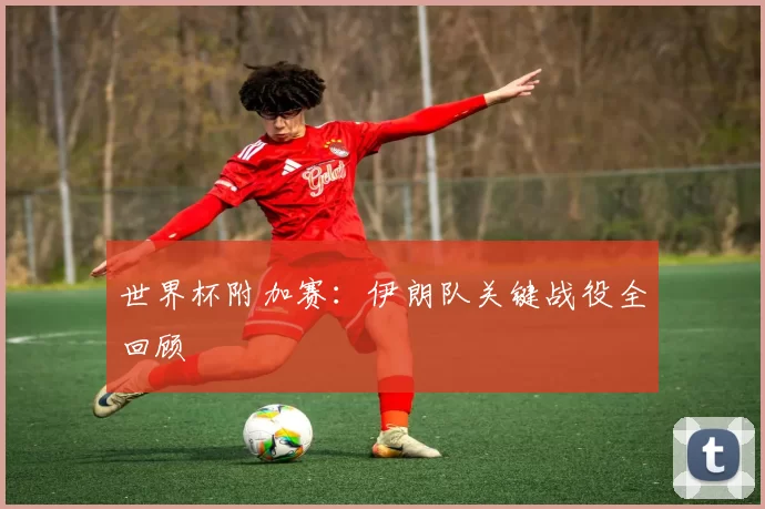 世界杯附加赛：伊朗队关键战役全回顾