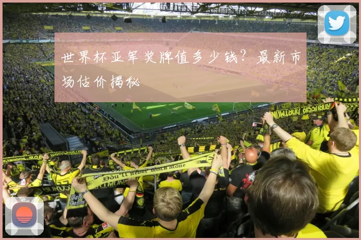 世界杯亚军奖牌值多少钱?最新市场估价揭秘