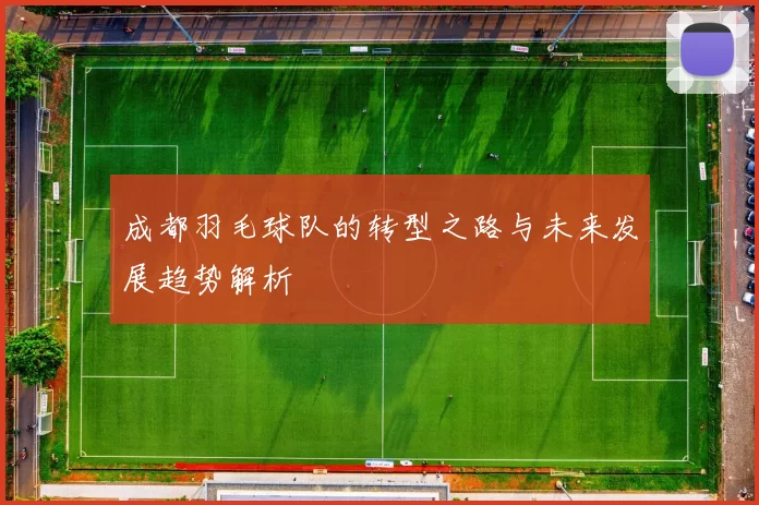 成都羽毛球队的转型之路与未来发展趋势解析