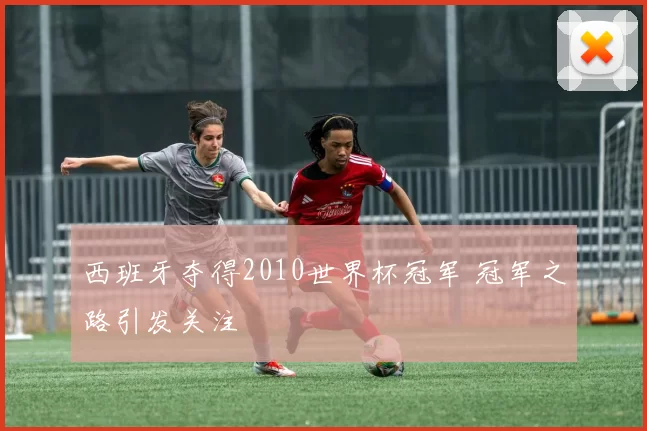 西班牙夺得2010世界杯冠军 冠军之路引发关注