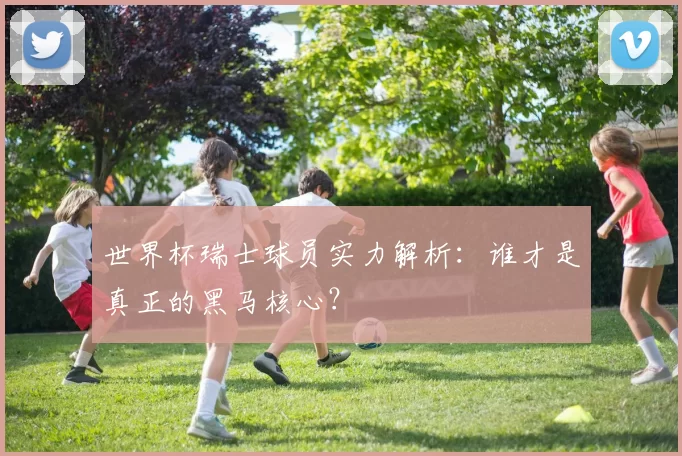 世界杯瑞士球员实力解析：谁才是真正的黑马核心？