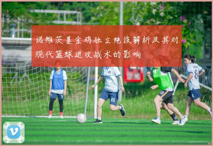 诺维茨基金鸡独立绝技解析及其对现代篮球进攻战术的影响